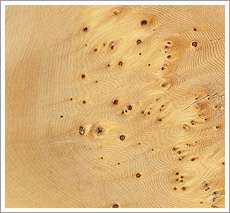 Grain Wood Texture